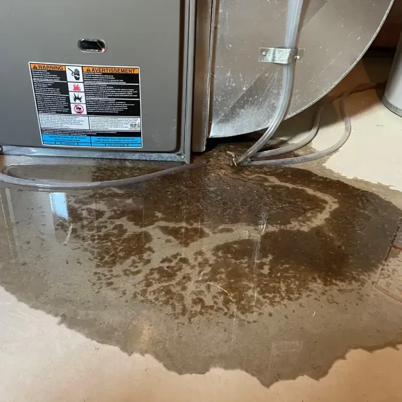 Appliance Leak Cleanup in Westwood, KY